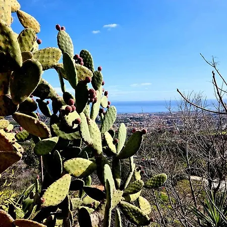 Etna Panoramic With Swimming Pool 别墅 SantʼAlfio