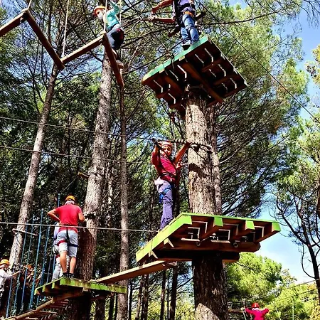 Etna Panoramic With Swimming Pool 别墅 *