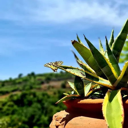 Etna Panoramic With Swimming Pool * SantʼAlfio