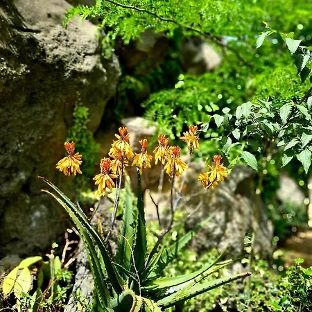 别墅 Etna Panoramic With Swimming Pool