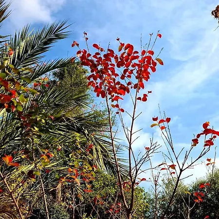 别墅 Etna Panoramic With Swimming Pool *
