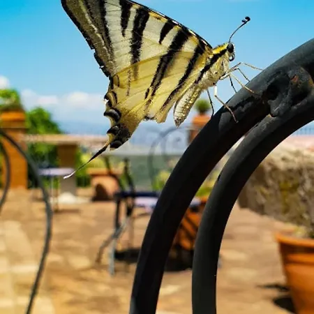 Etna Panoramic With Swimming Pool 别墅 *