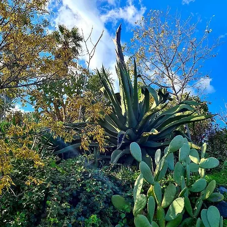 Etna Panoramic With Swimming Pool 别墅